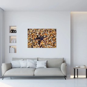 Tablou cu stea de mare (90x60 cm)