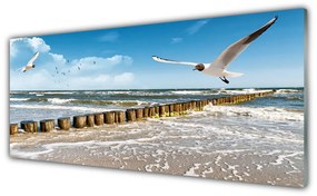 Tablouri acrilice Seagulls Sea Peisaj Gri Albastru Alb