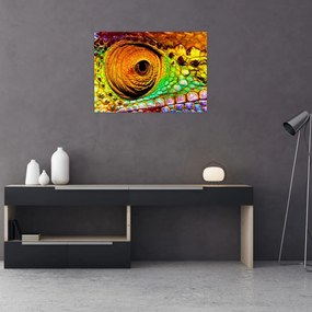 Tablou - Cameleon (70x50 cm)