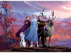 Tapet foto pentru copii Frozen 2, 156 x 112 cm