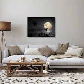 Tablou pe sticlă - Plaja cu lună plină, nuanțe gri (70x50 cm)