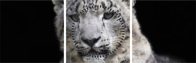 Tablou - Snow Leopard (cu ceas) (90x30 cm)