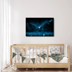 Tablou cu bufnița zburând (90x60 cm)