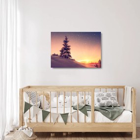 Tablou pe sticlă cu copac înzăpezit pe luncă (70x50 cm)