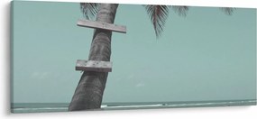 Tablou - Palma în Caraibe (120x50 cm)