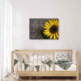 Tablou pe sticlă - Floare de floarea soarelui (70x50 cm)
