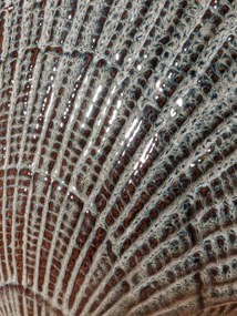 Vaza decorativa gri din ceramica in forma de scoica Pecten