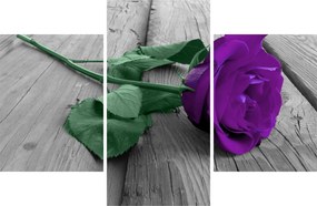 Tablou - Trandafir violet cu tulpina verde (90x60 cm)