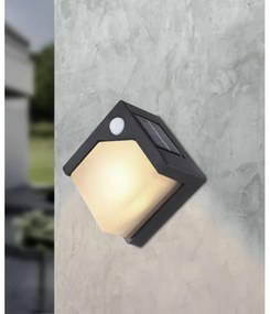 Corp de iluminat LED cu senzor SOLAR LED/0,48W/3V IP44 Globo 36480