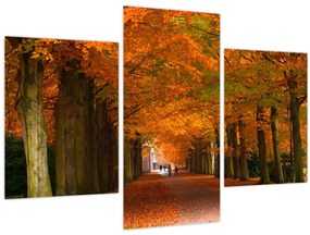 Tablou - Bulevardul de copaci în toamnă (90x60 cm)