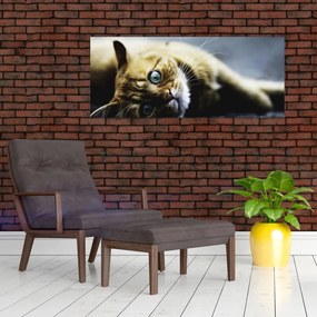 Tablou cu pisica (120x50 cm)