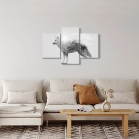 Tablou - Lupul arctic oglindit în peisajul sălbatic, alb-negru (90x60 cm)