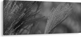 Tablou - Iarbă de pampas uscată (120x50 cm)