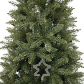 Molid Caucazian 2D 180 cm