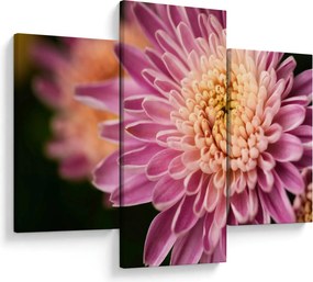 Tablou detailat cu flori (90x60 cm)