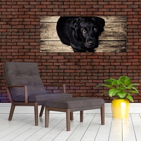 Tablou cu cățeluș negru (120x50 cm)