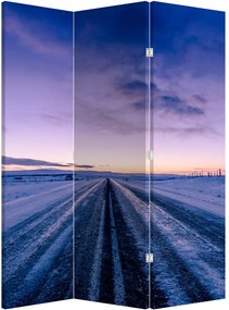 Paravan - Autostrada iarna (126x170 cm)