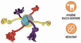 Jucărie pentru câine – Love Story