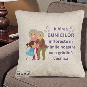 Cadou pentru Bunici - Perna Personalizata Bunicii Iubirea Infloreste Bunici cu Nepoata Colorat, 40x40 cm, Bej Canapea, Husa Detasabila, Perna Inclusa, BEKZ®
