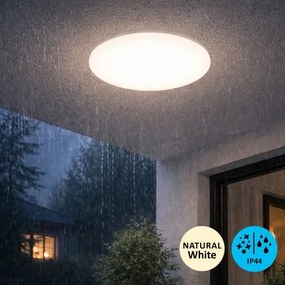 Rabalux 71506 - Plafonieră LED pentru baie LUCAS2 24W/230V IP44 4000K diam. 37,5 cm
