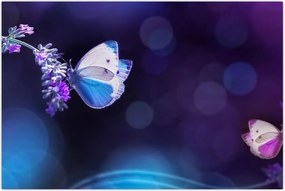 Tablou - Flutute în lavandă (90x60 cm)