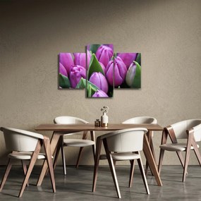 Tablou - florile lalelelor (90x60 cm)