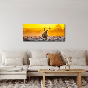 Tablou - Cerb la răsăritul soarelui (120x50 cm)