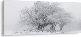Tablou - Iarnă albă (120x50 cm)