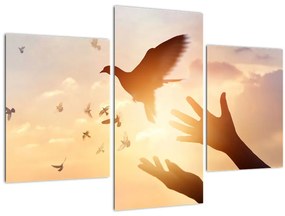 Tablou - Porumbițo, zboară! (90x60 cm)