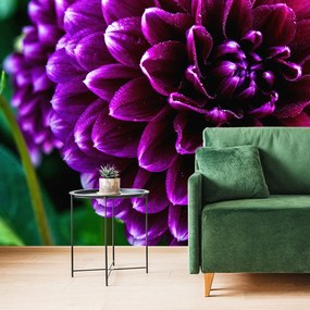 Fototapet autoadeziv floare violetă frumoasă