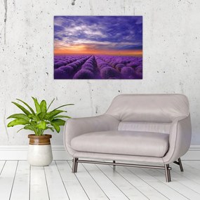 Tablou pe sticlă câmpului cu lavandă (70x50 cm)