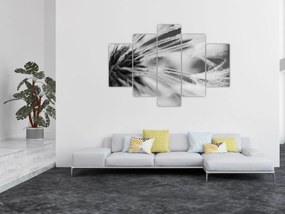 Tablou - Macro,alb-negru (150x105 cm)