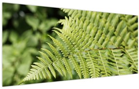 Tablou - Frunză de ferigă (120x50 cm)