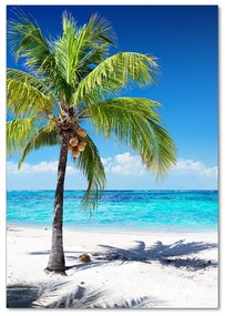 Tablou pe pe sticlă plaja tropicala