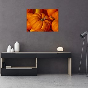 Tablou - Dovleci mari (70x50 cm)