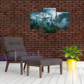 Tablou - Pădure în Ceață (90x60 cm)