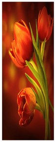 Fotojaluzele R013381R57150 (57x150 cm)