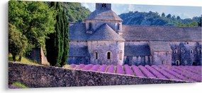Tablou - Câmp de lavandă (120x50 cm)