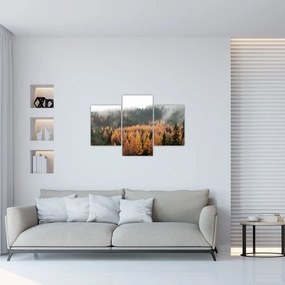 Tablou - Pădure toamna (90x60 cm)