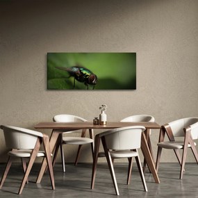 Tablou - Musca (120x50 cm)