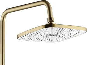 Set dus REA STORM GOLD BRUSH