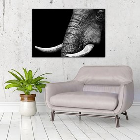 Tablou - Colți de elefant (90x60 cm)