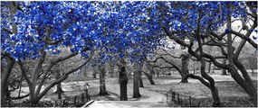 Tablou - Copaci albaștri Central Park, New York (120x50 cm)