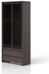 Zondo Vitrină Kaspian REG2W2S (Wenge). 735084