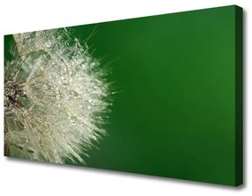 Tablou pe panza canvas Păpădie Floral Alb Verde