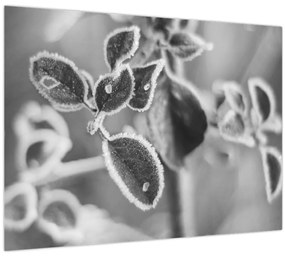 Tablou - Natura în toamnă (70x50 cm)