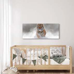 Tablou cutigru fugind prin zăpadă (120x50 cm)