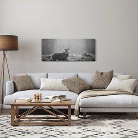 Tablou - Căprioare in pădure,alb-negru (120x50 cm)