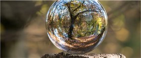 Tablou - Reflecție intr-o sferă transparentă (120x50 cm)