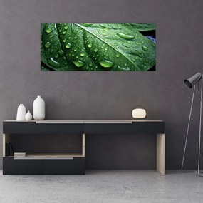 Tablou - Detaliu de frunze după ploaie (120x50 cm)